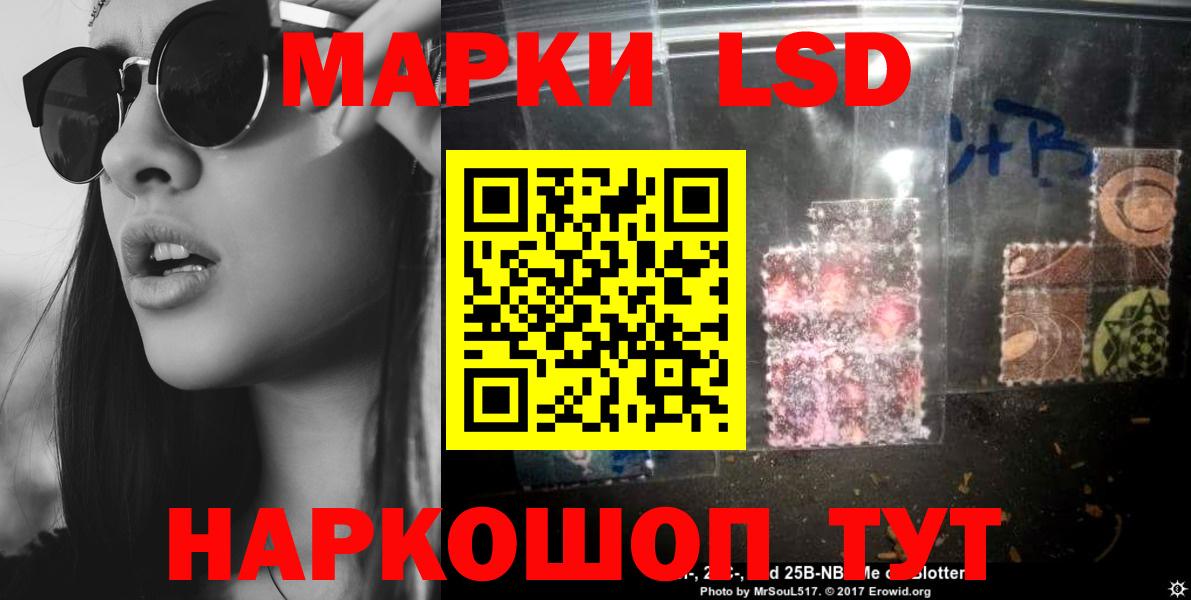 МЕФ Елец